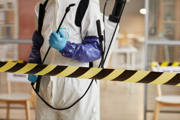 Professional Hoarding Cleanup technician working in Delton, MI